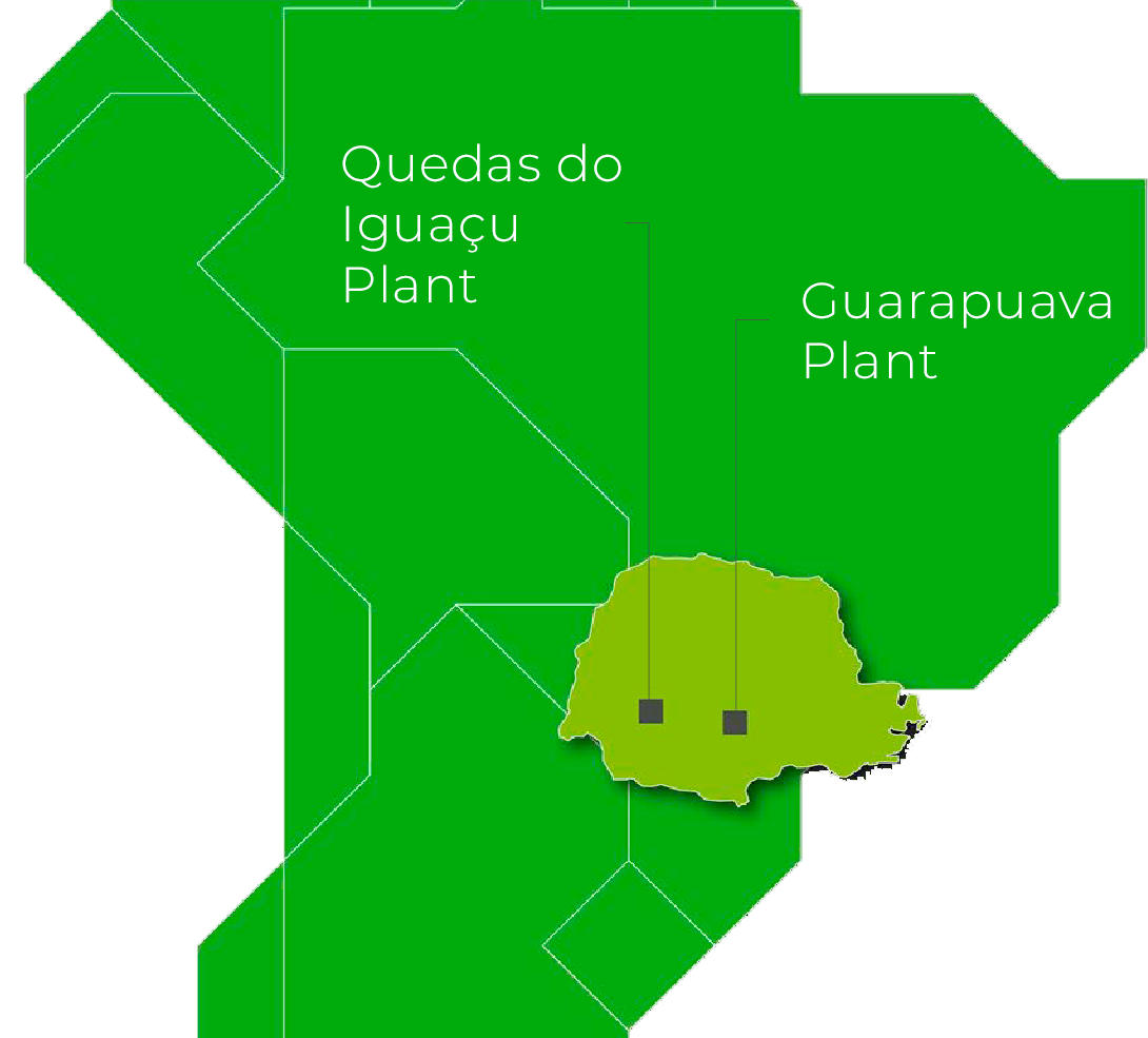 plants