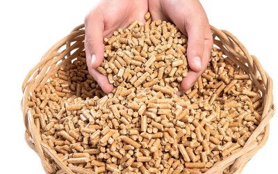 USO DE PELLETS TRAZ QUALIDADE DE VIDA AO PRODUTOR E MELHOR CONVERSÃO ALIMENTAR ÀS AVES