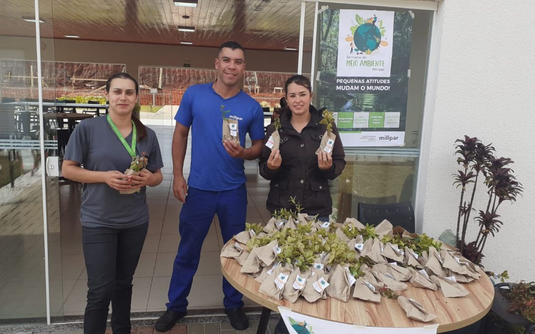 MILLPAR DISTRIBUI 1.000 MUDAS DE ÁRVORES EM COMEMORAÇÃO AO DIA MUNDIAL DO MEIO AMBIENTE